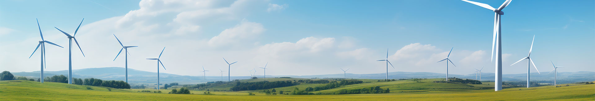 Sustainability